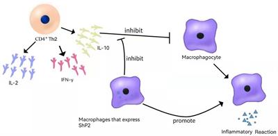 New Insights and Advances in Pathogenesis and Treatment of Very Early Onset Inflammatory Bowel Disease